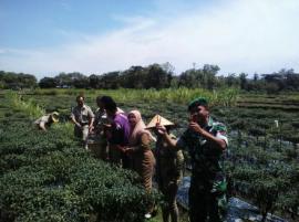 Perjuangan Babinsa yang Mulai Menuai Hasil