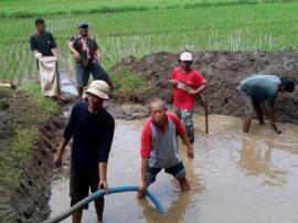 Umbul Tiban Gegerkan Warga Desa Karangmojo