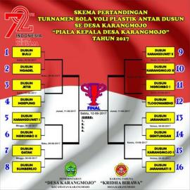 Meriahkan HUT RI Ke 72, Karang Taruna Desa Karangmojo Adakan Turnamen Bola Voley