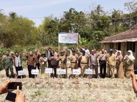 Ketua Komisi B DPRD Kabupaten Gunungkidul Hadiri Panen Raya Bawang Merah