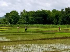 KEGIATAN PENGUKURAN TANAH KAS, LUNGGUH DAN PENGAREM-AREM KALURAHAN KARANGMOJO