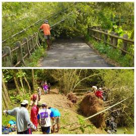 Bambu Roboh Menutup Jalan dan Jembatan Ngrombo